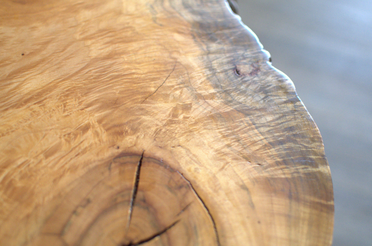 Spalted Maple Live Edge Coffee Table